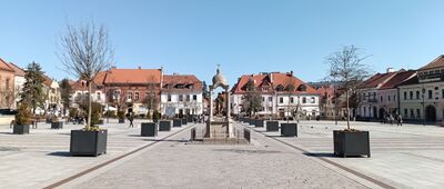 Myślenice, rynek
