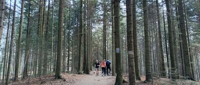 Schronisko PTTK na Kudłaczach ↔ Skrzyżowanie przy Kudłaczach