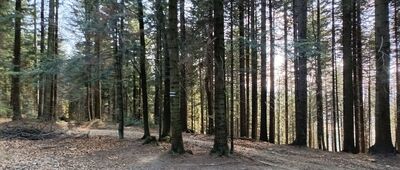 Skrzyżowanie przy Kudłaczach