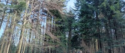 Skrzyżowanie przy Kudłaczach