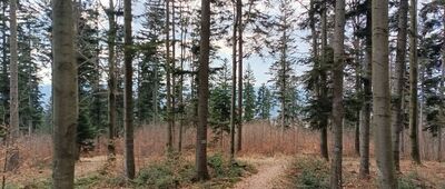 Pod Łysiną ↔ Skrzyżowanie przy Kudłaczach