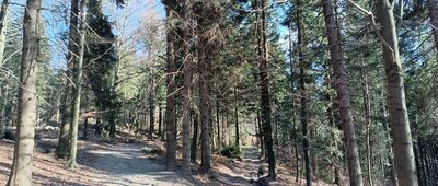 Trzy Kopce ↔ Lubomir