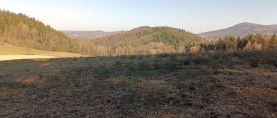 Rozejście szlaków ↔ Osieczany