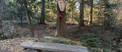 Młaka Źródliskowa