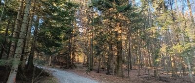 Rozejście szlaków pod Lubomirem ↔ Lubomir