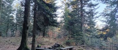 Pod Uklejną ↔ Młaka Źródliskowa