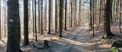 Pod Uklejną
