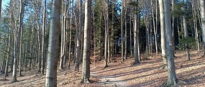 Pod Uklejną ↔ Rozejście szlaków