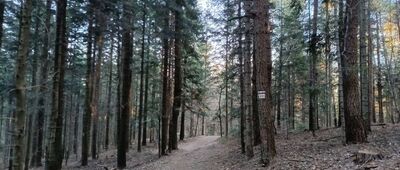 Pod Śliwnikiem ↔ Pod Śliwnikiem