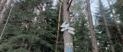 Działek, początek szlaku żółtego