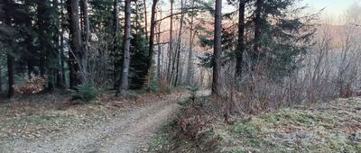 Działek, początek szlaku żółtego