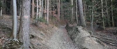 Schronisko PTTK na Kudłaczach ↔ Działek