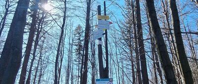 Przełęcz U Panienki