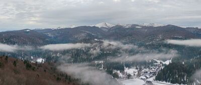 Jeleniowaty, wieża widokowa