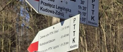 Duszniki-Zdrój, ul. Zielona