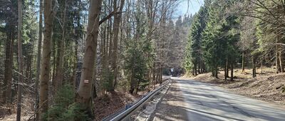 Duszniki-Zdrój, ul. Zielona ↔ Odejście do Złotej Sztolni