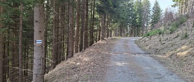 Schronisko Pod Muflonem, skrzyżowanie szlaków ↔ Droga Justyny, parking leśny