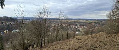 Duszniki-Zdrój, Park Zdrojowy ↔ Schronisko PTTK "Pod Muflonem"