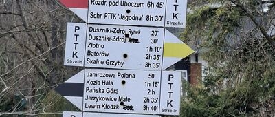 Duszniki-Zdrój, Park Zdrojowy