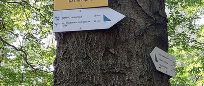 Odejście ścieżki spacerowej [Niedźwiadki]