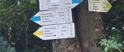 Pod Turzyną [Pod Turzyną]