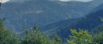 Rozejście szlaków ↔ Przełęcz pod Jeleńcem [Widok na]