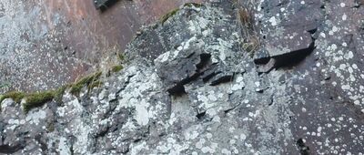 Skalna Brama [Skalna Brama]