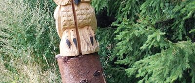 Schronisko PTTK Zygmuntówka [Do Zygmuntówki]