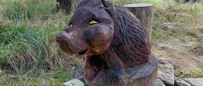 Schronisko PTTK Zygmuntówka [Do Zygmuntówki]