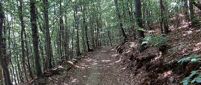 Przełęcz pod Szeroką ↔ Nad Trześnikiem