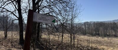 Odejście na Mysłowską Turnię