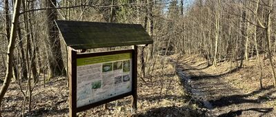 Czerwona Skała ↔ Odejście na Mysłowską Turnię