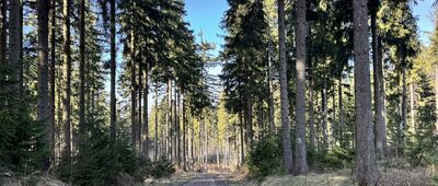 Kamieniołom Sobocin ↔ Czerwona Skała