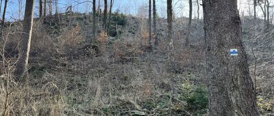 Dojście na Niedźwiedzie Skałki ↔ Niedźwiedzie Skałki