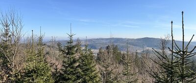 Niedźwiedzie Skałki