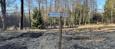 Dojście na Niedźwiedzie Skałki