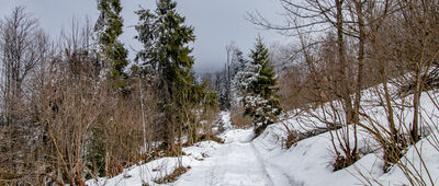 Ochotnica Dolna ↔ Skrzyżowanie pod Lubaniem