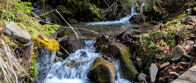 Ochotnica Dolna, skrzyżowanie ↔ Morgi