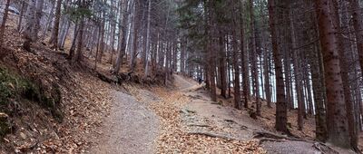Nýdek ↔ Rozejście szlaków