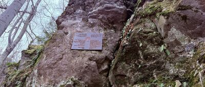 Pomnik Jiříego Třanovskiego