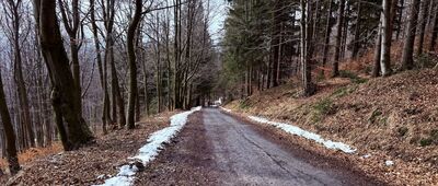 Pod Wielką Czantorią ↔ Chata Na Czantorii