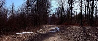 Światowid ↔ Przełęcz Beskidek