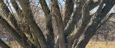 Górki, Hutna Góra ↔ Chrośla