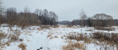 Okuniew ↔ Budziska, ul. Nadrzeczna