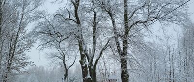 Kolonia Chobot ↔ Mrowiska Duże