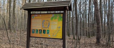 Odejście ścieżki przyrodniczej ↔ Wąwóz Myśliborski, parking