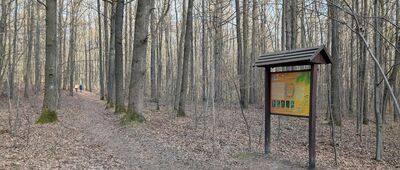 Odejście ścieżki przyrodniczej ↔ Wąwóz Myśliborski, parking