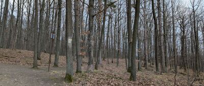 Odejście ścieżki przyrodniczej