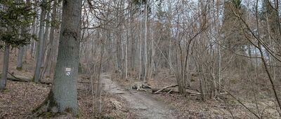 Odejście ścieżki przyrodniczej ↔ Sowia Skałka