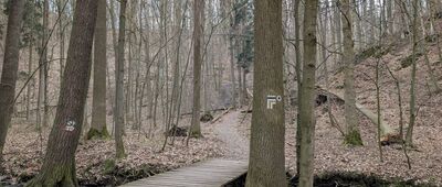 Wąwóz Myśliborski, wsch.